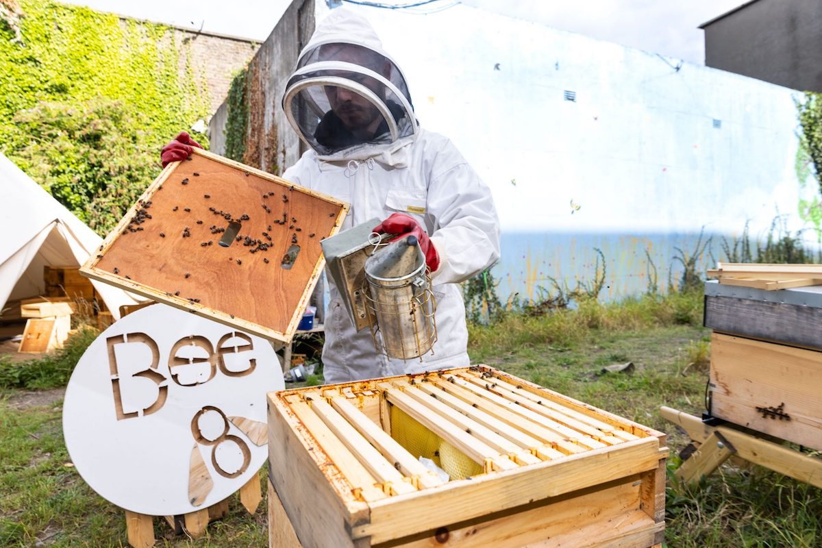 Smart D8 ‘Bee 8’ Pilot Connects Bees and Data